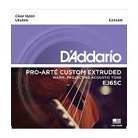 D`ADDARIO EJ65C